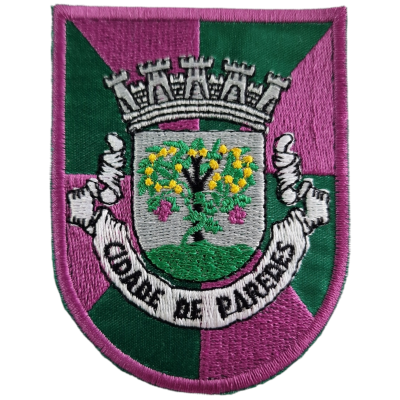 Emblema bordado com brasão verde e roxo e texto Câmara de Paredes