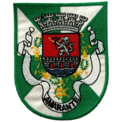 Escudo bordado com leão e torre em fundo verde e branco