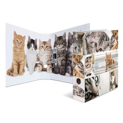 Pasta de arquivo com imagens de vários gatos em diferentes poses e cores.