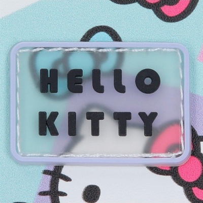 Etiqueta de plástico transparente com texto HELLO KITTY sobre fundo colorido e padrão felino