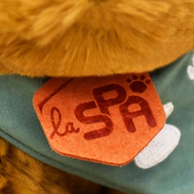 Etiqueta de feltro laranja com texto 