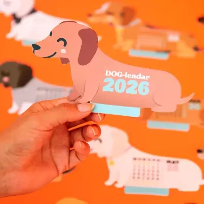 Calendário em forma de cão salchicha cor-de-rosa com texto DOG-lendar 2026
