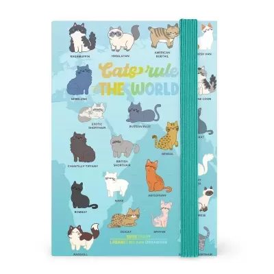 Caderno azul com desenhos de gatos e texto 'Cats rule THE WORLD'