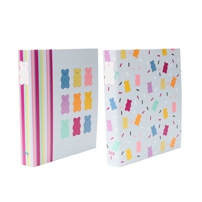 Duas pastas para arquivos com estampados de ursinhos coloridos