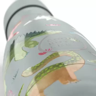 Frasco decorado com dinossauros e texto COOL BOTTLES em relevo