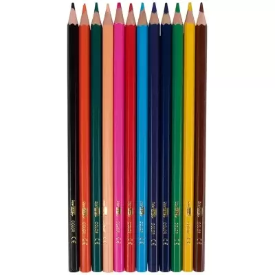 Lápis de cor de várias cores alinhados em fundo branco