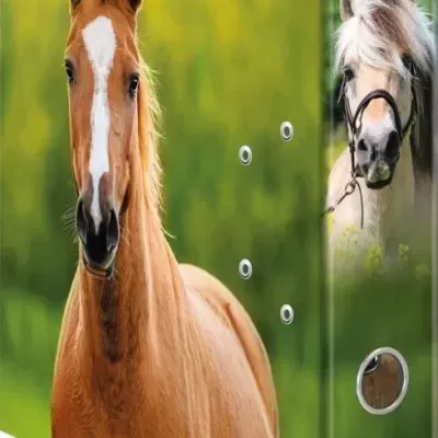 Armário com impressão de dois cavalos em fundo verde