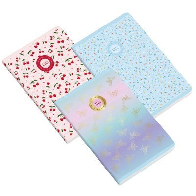 Três cadernos coloridos com diferentes padrões de capa e círculos centrais com texto