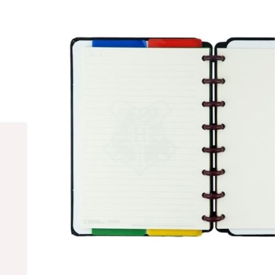 Caderno aberto com folhas pautadas, argolas castanhas e separadores coloridos