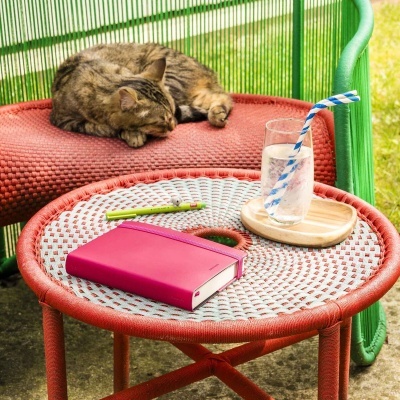 Mesa redonda vermelha com caderno rosa, copo com canudo azul e branco, gato castanho em cadeira verde com almofada vermelha.