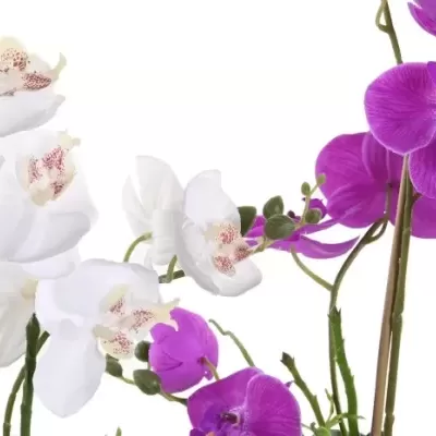Orquídeas brancas e roxas com detalhes rosados no centro