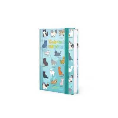 Caderno com capa azul e ilustrações de gatos coloridos