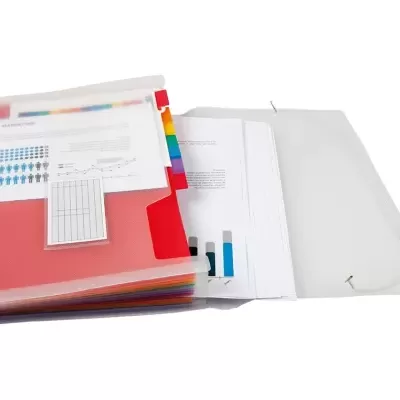 Organizador de documentos colorido com divisórias de abas e gráficos visíveis