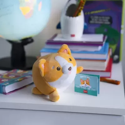 Pelúcia de cão amarelo e branco com miniatura azul 'Never Forget The Food' numa secretária com livros e globo