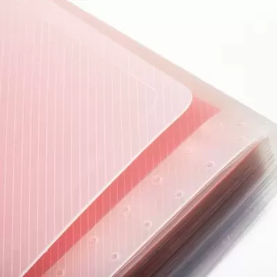 Dossier rosa transparente de plástico com divisórias e linhas brancas