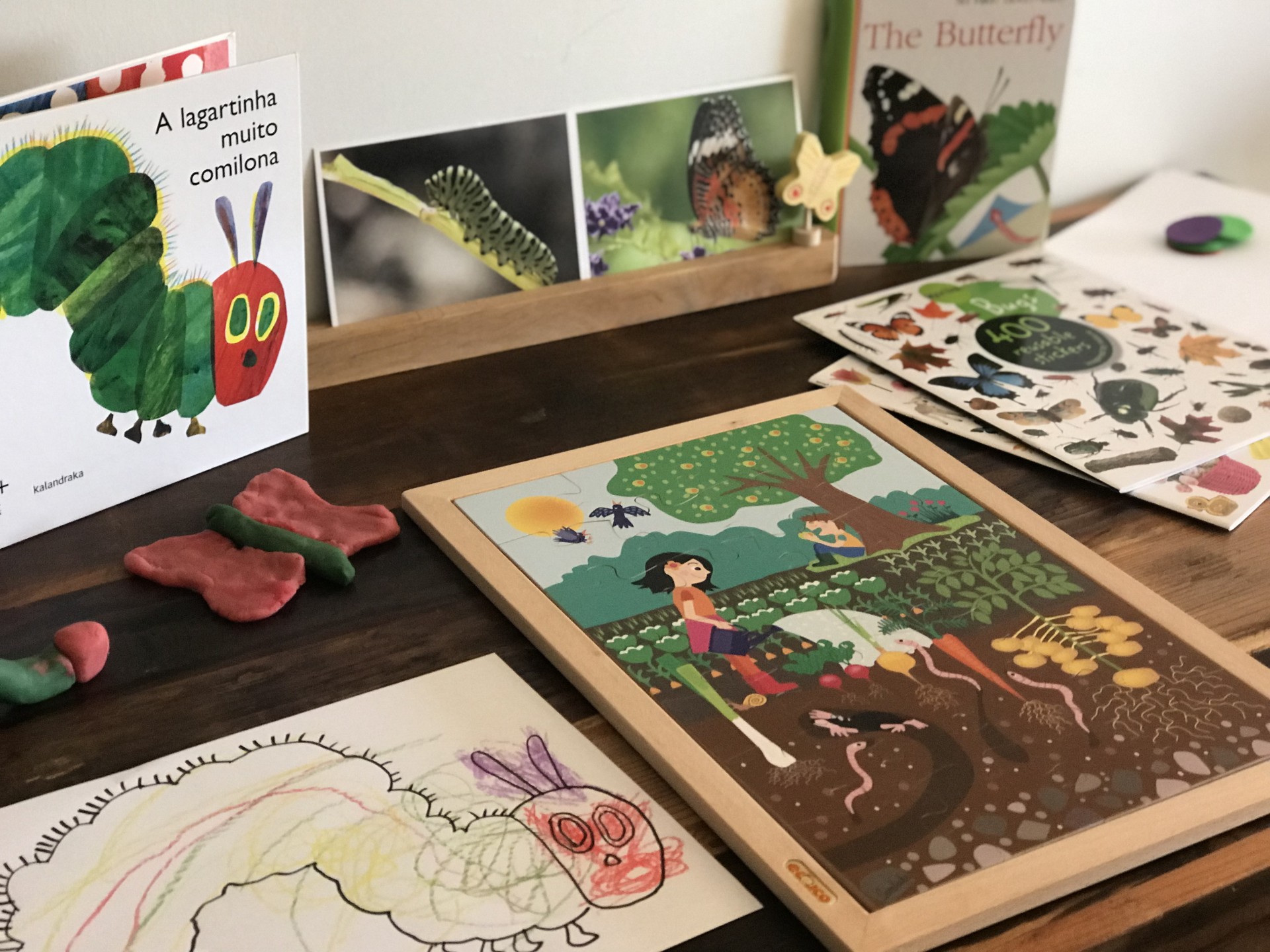 A Lagartinha Comilona e a Metamorfose da Borboleta