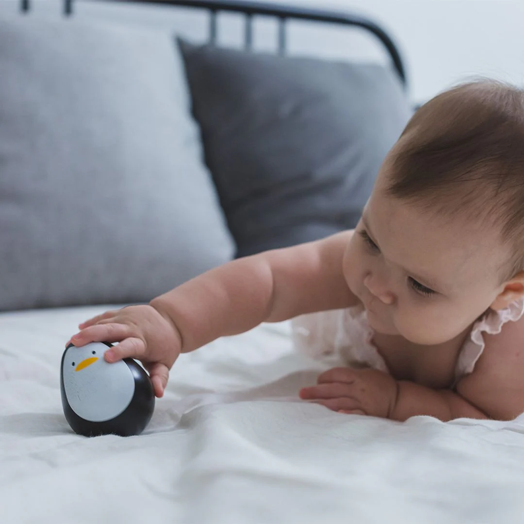 Pinguim sempre em pé | Plan Toys Pinguim sempre em pé | Plan Toys