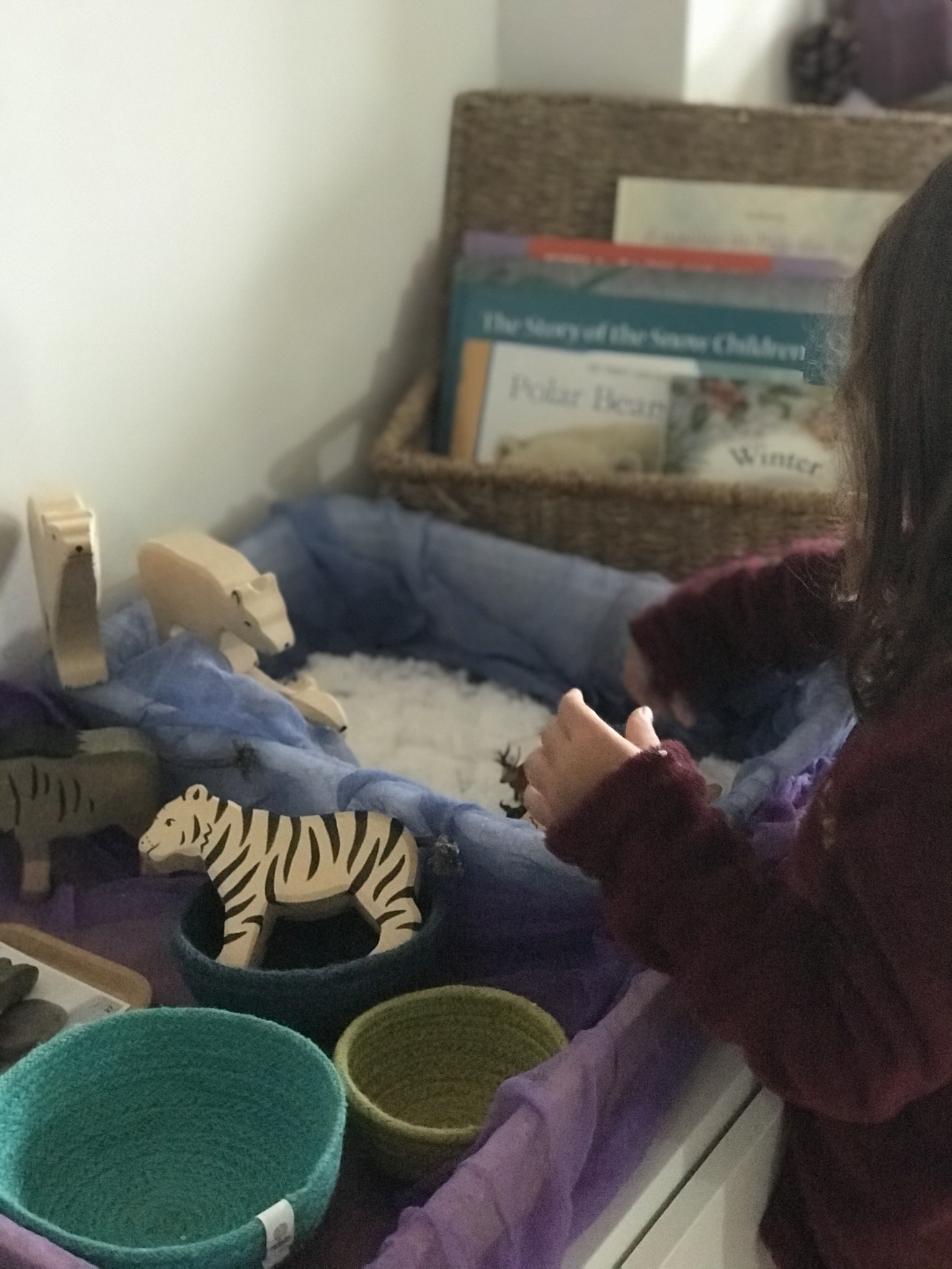 Neve Caseira Ecológica