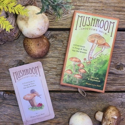 Mushroom Spotter's Flash Cards