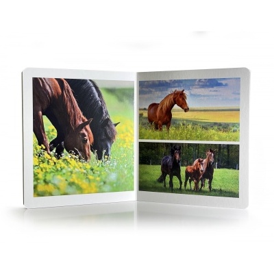 Animais da Fazenda | Grande