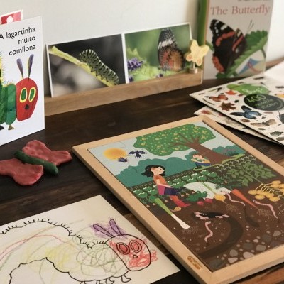 A Lagartinha Comilona e a Metamorfose da Borboleta