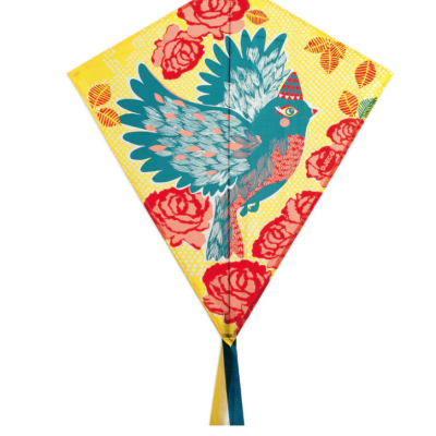 Papagaio com desenho de pássaro | Bird