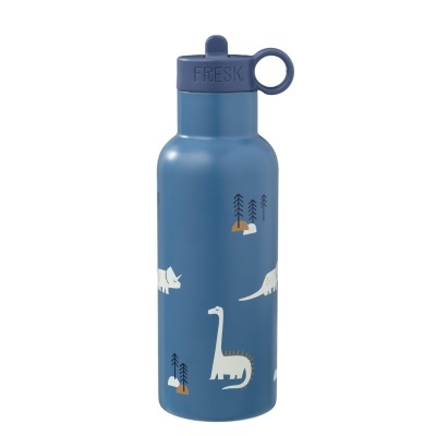 Garrafa Térmica Dino 500ml & Acessórios | Fresk