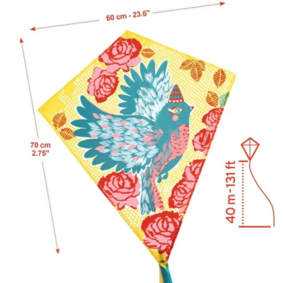 Papagaio com desenho de pássaro | Bird