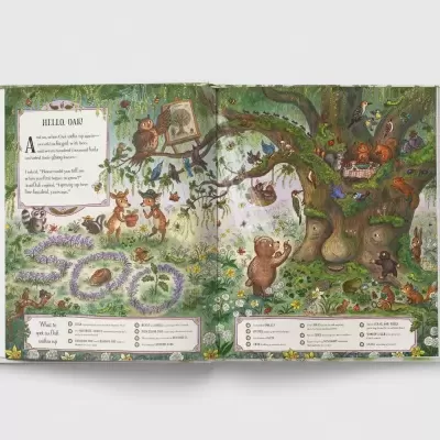 Brown Bear Wood: Grand Old Oak And The Birthday Ball