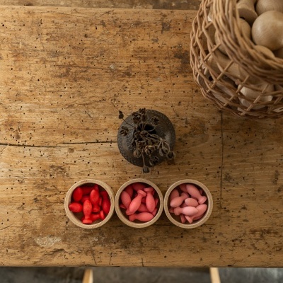 Pétalas de Flores Peças Soltas | Grapat