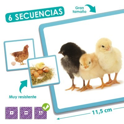 Maxi-Sequência Natureza | Akros