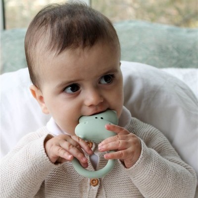 Kimo, O Hipopótamo | Lanco