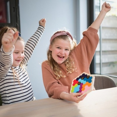 Jogo O Puzzle da Colmeia | BSToys