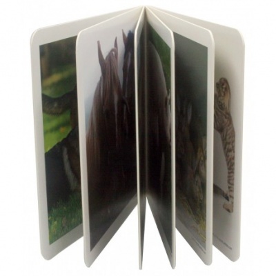 Animais em Família 1