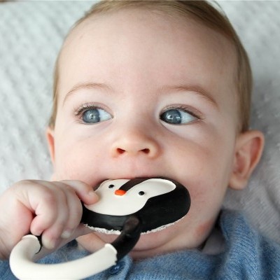 Nui, O Pinguim | Lanco