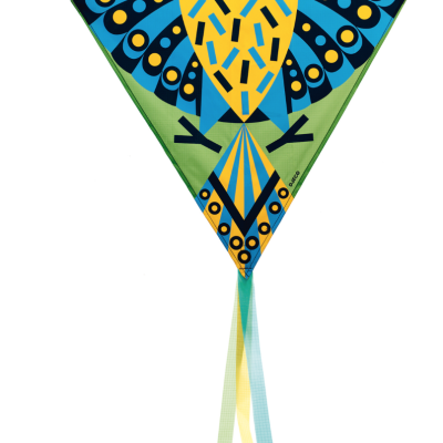 Papagaio com desenho de coruja | Hiboo