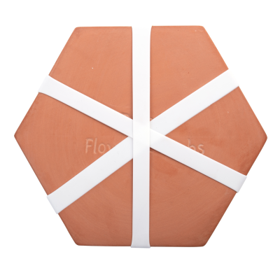 Prensa de Flor e Folhas Terracota  | Microondas e Forno