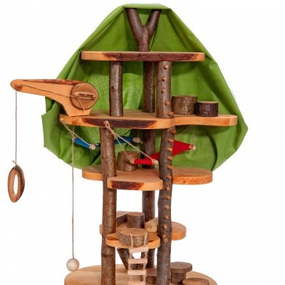 Casa da Árvore | Magic Wood