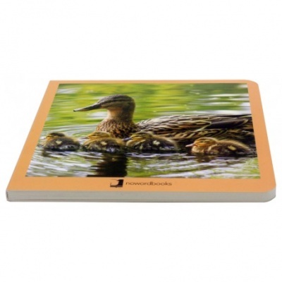 Animais em Família 1