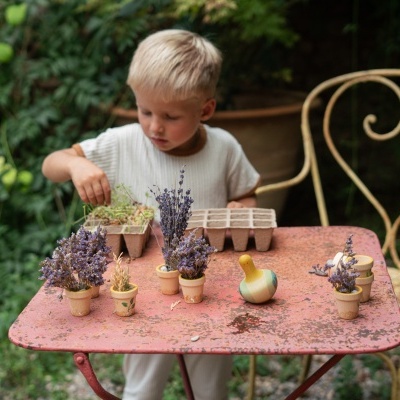 Pássaro Amarelo | Grapat