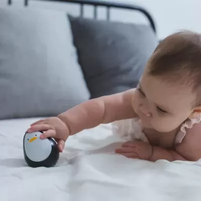 Pinguim sempre em pé | Plan Toys