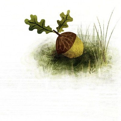 Because Of An Acorn