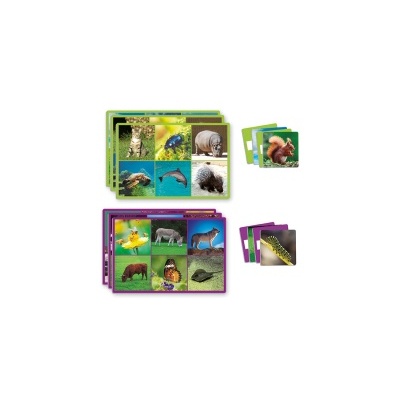 Loto: 72 Animais | Akros