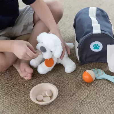 Conjunto para cuidado de animais | Plan Toys