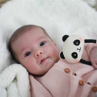 Kori, O Panda | Lanco