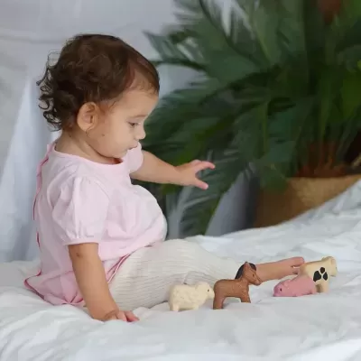 Conjunto de Animais da Quinta | Plan Toys