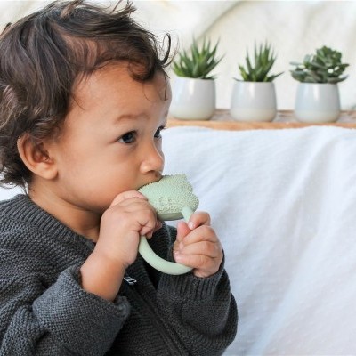 Kimo, O Hipopótamo | Lanco