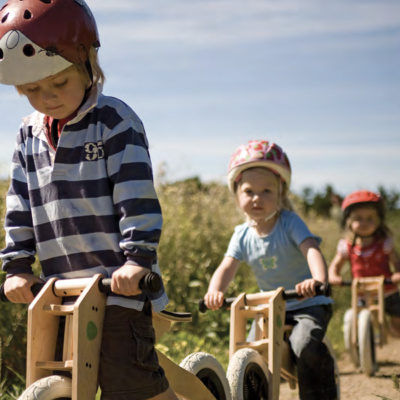 Peças Suplentes de Montagem | Wishbone