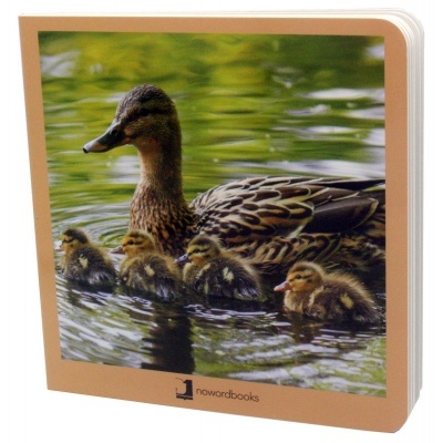 Animais em Família 1