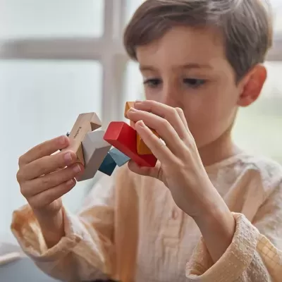 Puzzle Retangular | Plan Toys